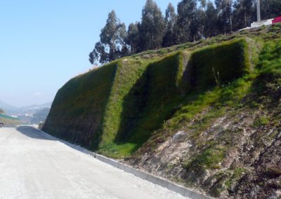 Muros Ecológicos 1